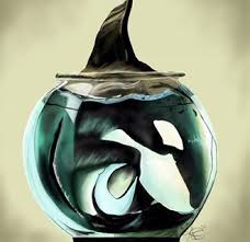 Save the whales: SeaWorlds damage to marine mammals