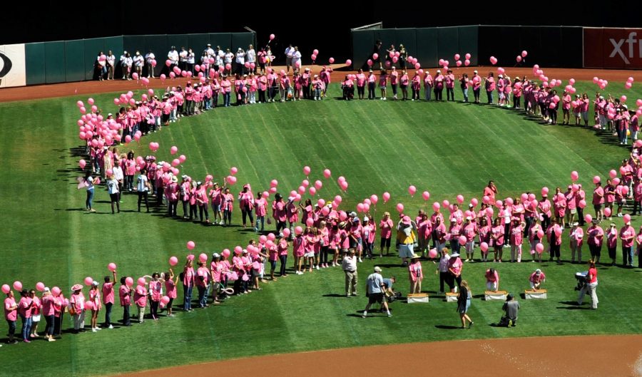 More than 350 Bay Area breast cancer survivors form a symbolic human pink ribbon on the field before the Oakland Athletics take on the Seattle Mariners at O.co Coliseum in Oakland, Calif., on Sunday, Sept. 6, 2015. The event was part of the 17th annual Oakland A's Breast Cancer Awareness Day. The A's announced that more than $75,000 was raised. (Susan Tripp Pollard/Bay Area News Group/TNS)