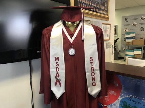 A sample of the medallion and sash being donated to MSD seniors. Photo courtesy of 