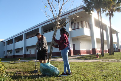 MSD students participate in community service