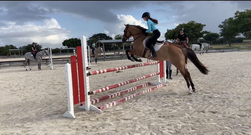 Horse rider Samantha Goldblum leaps over obstacle on her horse. Photo courtesy of   Samantha Goldblum