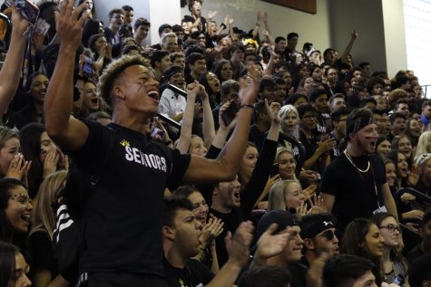 During the Oct. 11, 2019 pep rally at MSD, the senior students applauded and cheered for their school. Photo by Sam Grizelj