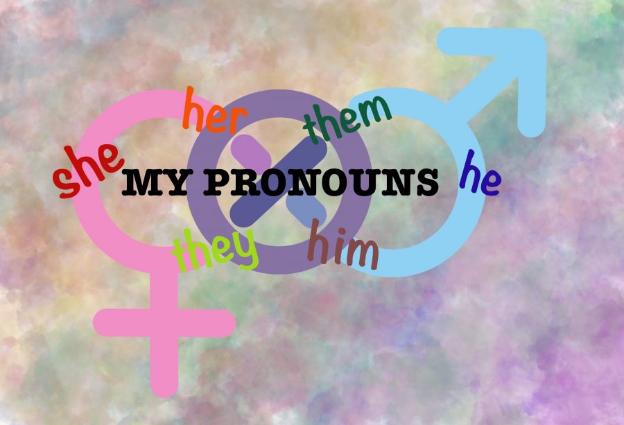 Identifying your preferred gender pronouns in your social media bio is an important step in creating a more inclusive space for all. Graphic by Madison Lenard