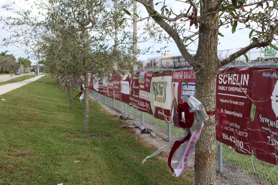 17 personalized ribbons on trees alongside of the MSD football field to honor the 17 victims