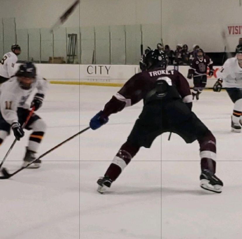 Junior Chris Trockey attempting to steal the puck from his opponent. Photo courtesy of Chris Trockey
