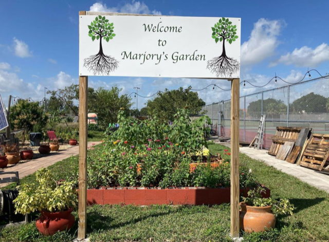 Students reinvigorated Marjorys Garden by volunteering. Photo courtesy of Marlo Perkins