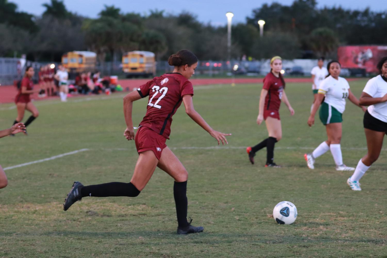 Schoharie girls' soccer star Krohn scores final goal of record-setting  career in regional loss, Sports