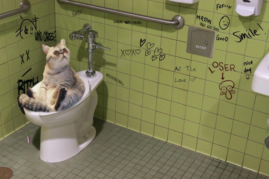 Can You Flush Cat Poop Down The Toilet?