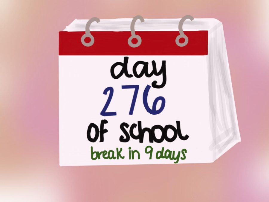 Students believe the school year should be year long with longer breaks in between due to the benefits it would impose.