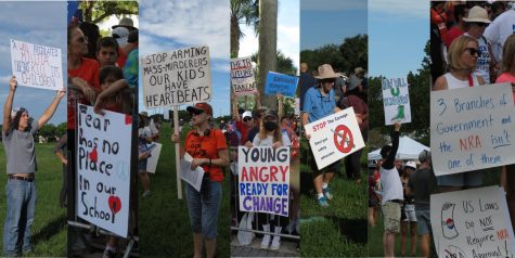 At the March for Our Lives event on Saturday, hundreds of protesters held signs illustrating their feelings on gun violence and reform in our country.