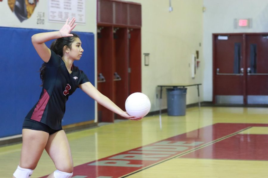 Hitter Elle Naqvi (9) prepares to serve the volleyball against the Coral Springs High opposition. Naqvi helped lead the MSD volleyball team to victory in the matchs sets.