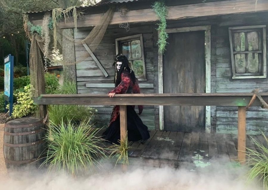 Spooky costumed performers loom and sometimes lurch at Witchcraft Bayou and other scare zones during Howl-O-Scream at SeaWorld Orlando. Photo courtesy of Dewayne Bevil/TNS.