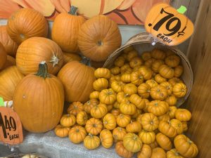 Pumpkin time. Throughout the fall season, Trader Joe's will be selling many different colors and sizes of pumpkins. The mini orange pumpkin, mini white pumpkin, and mini gourds are all being sold for just 79 cents.