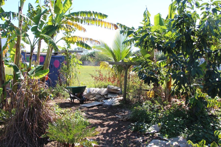 Cleaning Up. A wheelbarrow sits in the middle of the new food forest pathway in Marjory’s Garden. The project was built during Aug. 2022 and is located near the back of the garden.