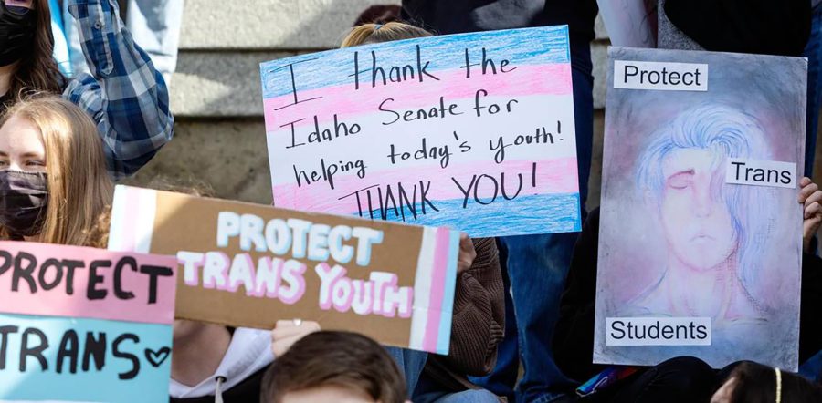 Transgender people and allies of trans youth hold signs at the Idaho Capitol at a celebration rally after the Senate killed a 2022 bill criminalizing gender-affirming care. The Idaho House voted Tuesday, Feb. 14, 2023, to make providing this kind of care to children a felony. Photo permission from Sarah A. Miller/Idaho Statesman/TNS.