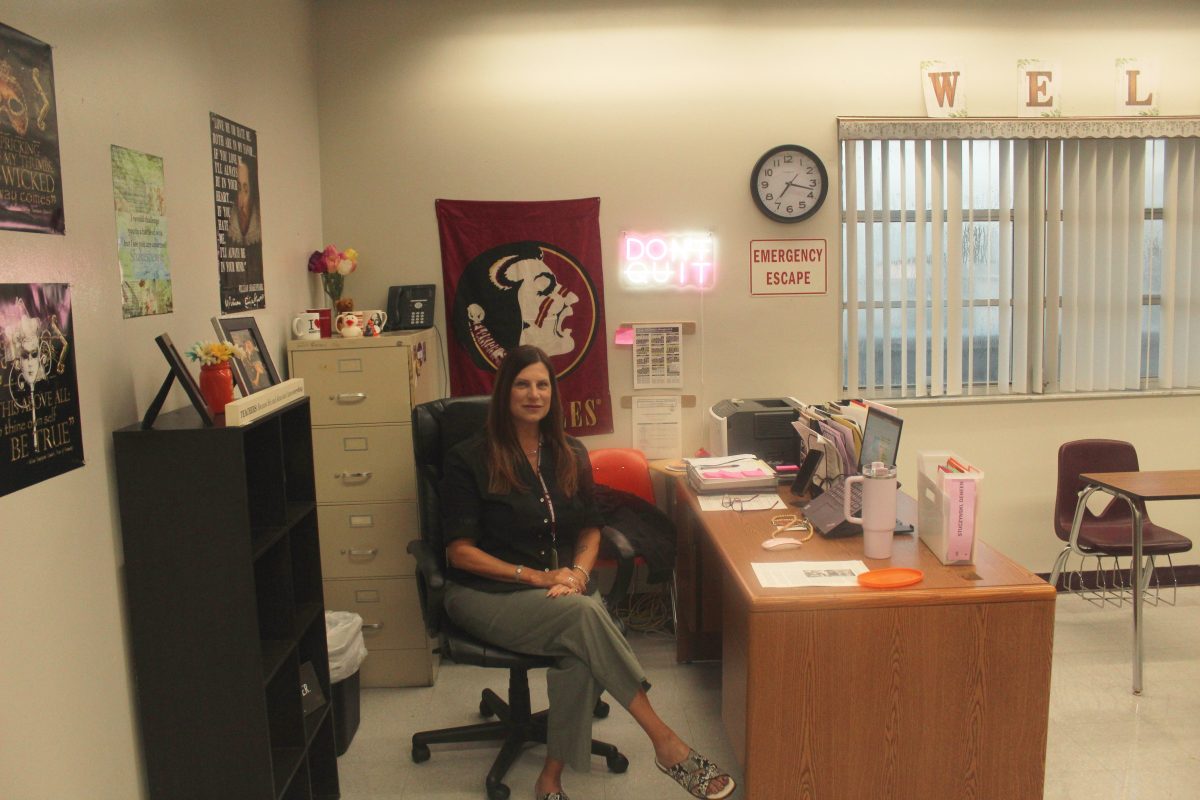English teacher Deneen Stuczynski sits at her desk, waiting for students to enter her classroom. Stuczynski has been teaching English for 15 years and is excited to join MSDs staff this year, where she hopes to positively impact students lives.