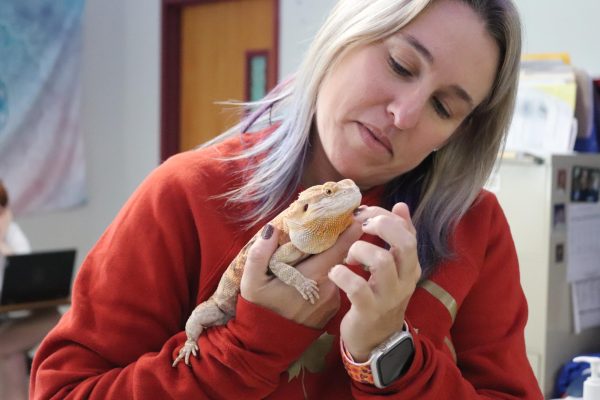 English teacher Holly Van Tassel-Schuster holds Kodo, her bearded dragon. Adopted in 2022, Kodo was trained by Van Tassel-Schuster to ensure he would be safe to bring to school.