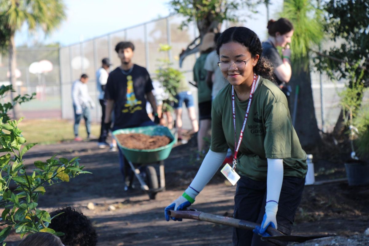 Gardening Galore. Junior Mia Lubin works in Marjory’s Garden to help move soil for planting new trees on the Day of Service and Love. The new trees, including a pomegranate and jabuticaba tree, are intended to be for a new orchard extension of the garden.