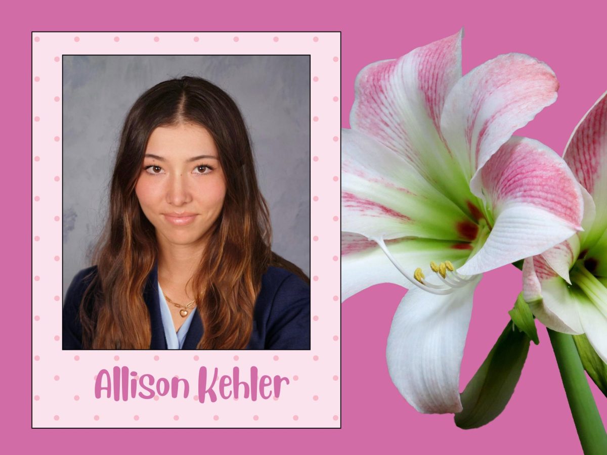 Senior Allison Kehler posts on TikTok and Instagram as an influencer. Since becoming an influencer, she has grown her platform to over 10,000 followers. Photo permission from Kehler. 